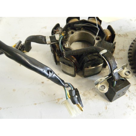 ALTERNATEUR STATOR POUR Bete RR 125 250 300 400 450 520 Xtrainer 300 15