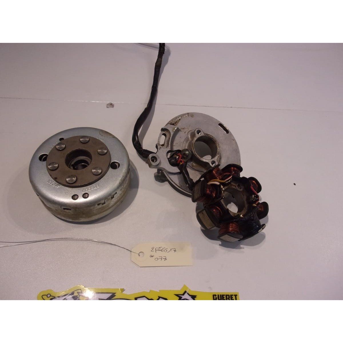 Rotor et stator d'allumage GASGAS 300 EC 2010 Rotor et stator d'allumage GASGAS 300 EC 2010