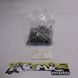 Visserie moteur SUZUKI 450 RMZ 2013