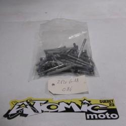 Lot de visserie GASGAS 300 EC 2010