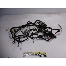 Faisceau électrique BETA 250 RR 2014