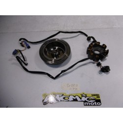 Rotor et stator d'allumage  BETA 250 RR 2014