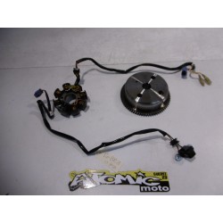Rotor et stator d'allumage  BETA 250 RR 2014