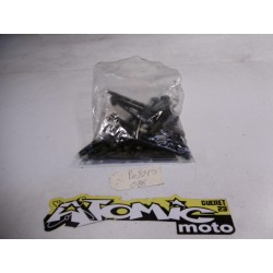 Lot de visserie moteur YAMAHA 250 WRF 2004