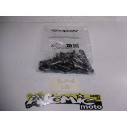 Lot de visserie moteur HONDA 450 CRF 2004