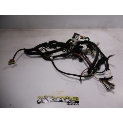 Faisceau électrique SHERCO 250 SE F 2020