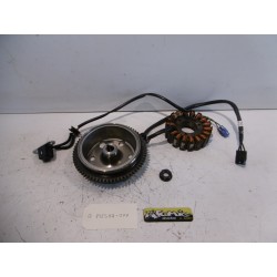 Rotor et stator d'allumage SHERCO 250 SE-R 2014