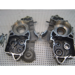 Carters moteur centraux GASGAS 250 EC 2001