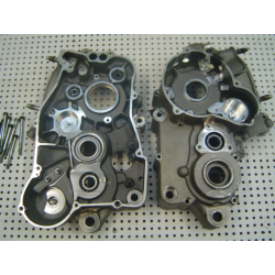 Carters moteur centraux GASGAS 250 EC 2001